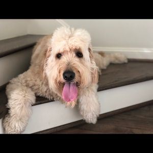 Meet your Posher, Gerardo